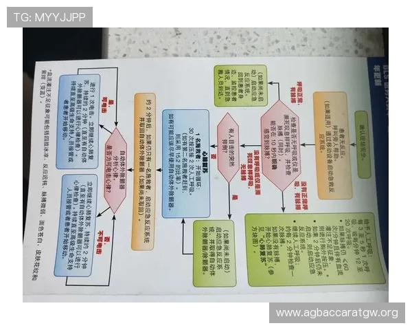dg视讯打法新手入门指南:从基础到高级的完整操作流程